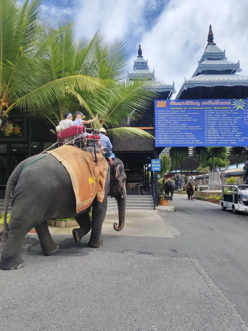 ปางช้างพร้อมนั่งช้างชมธรรมชาติ กิจกรรมยอดนิยมของนักท่องเที่ยว